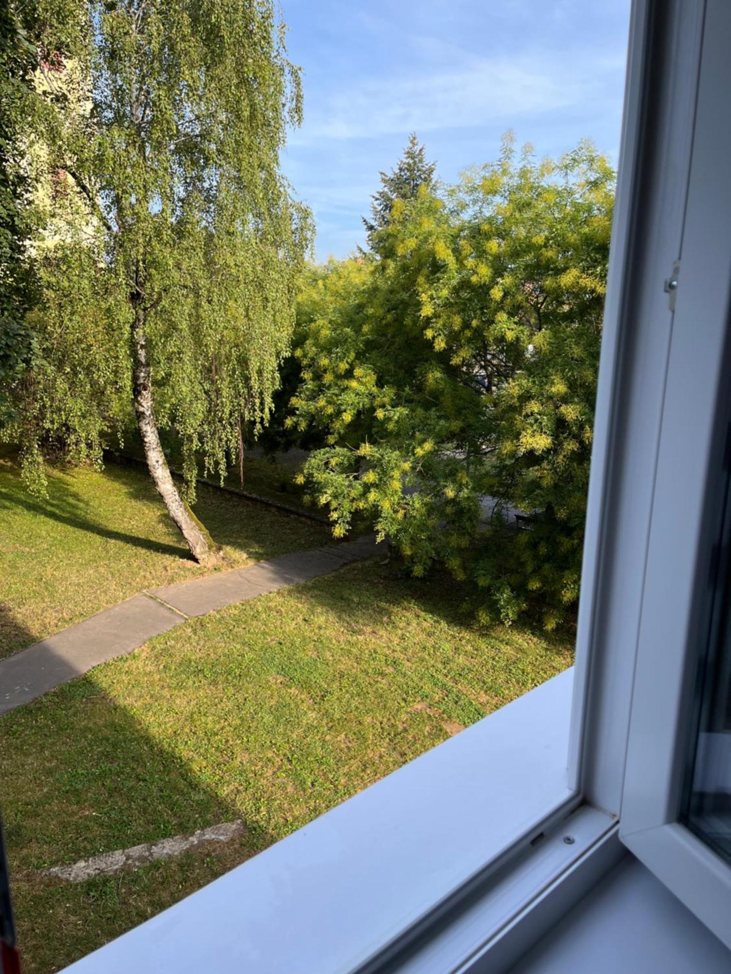 Kelemen Apartman Nagykanizsa Exterior foto